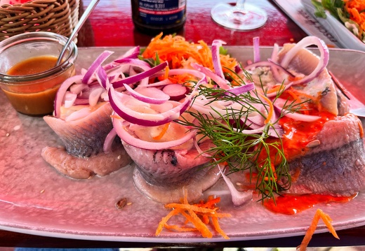 24-06-20 17-45-25 9726